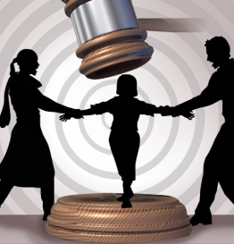 Child Custody Cases